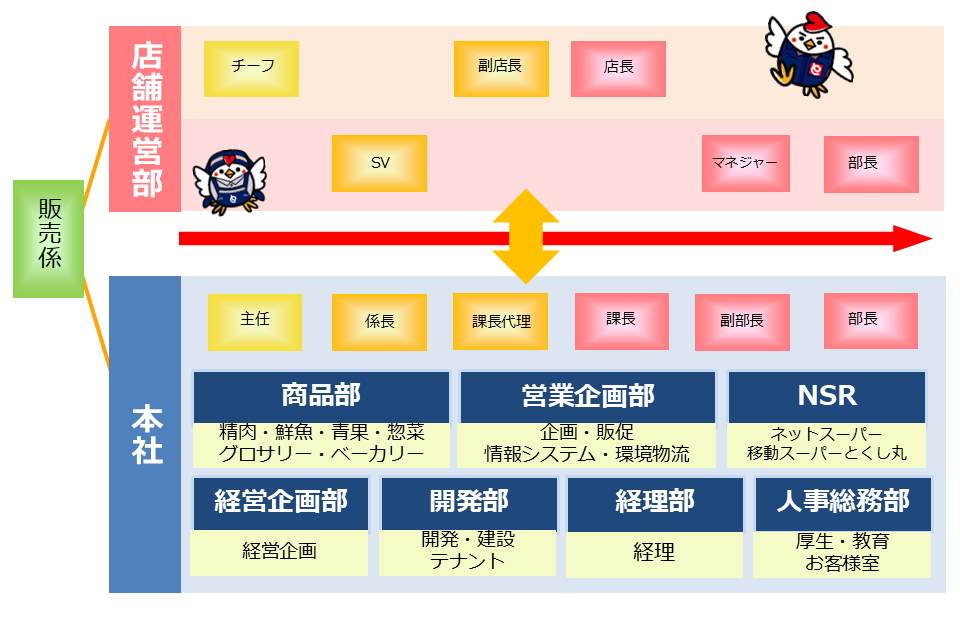 キャリアパスのイメージ