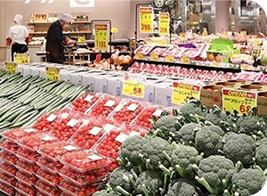 地域に根ざして01